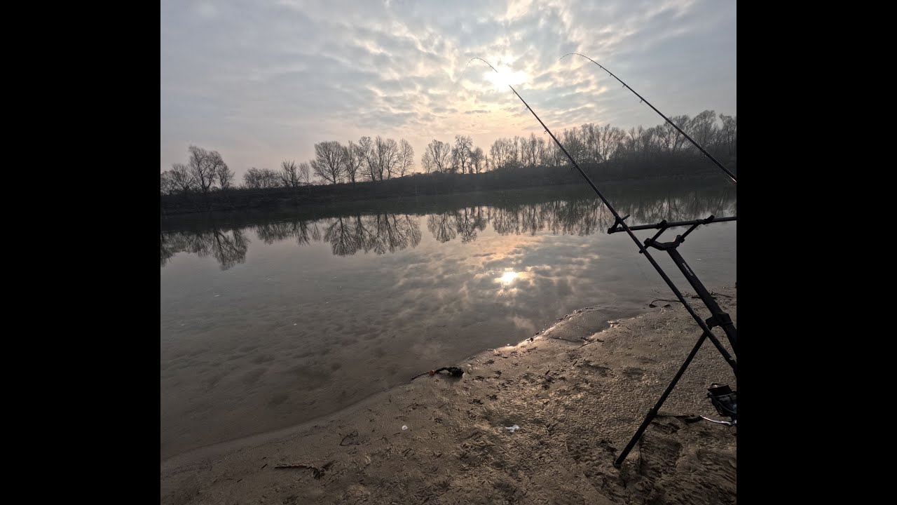 Feeder sulle lame del Po