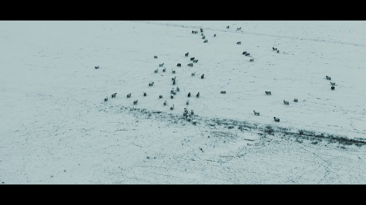 Cinematic Winterwonderland/ Sony Alpha 7 III 