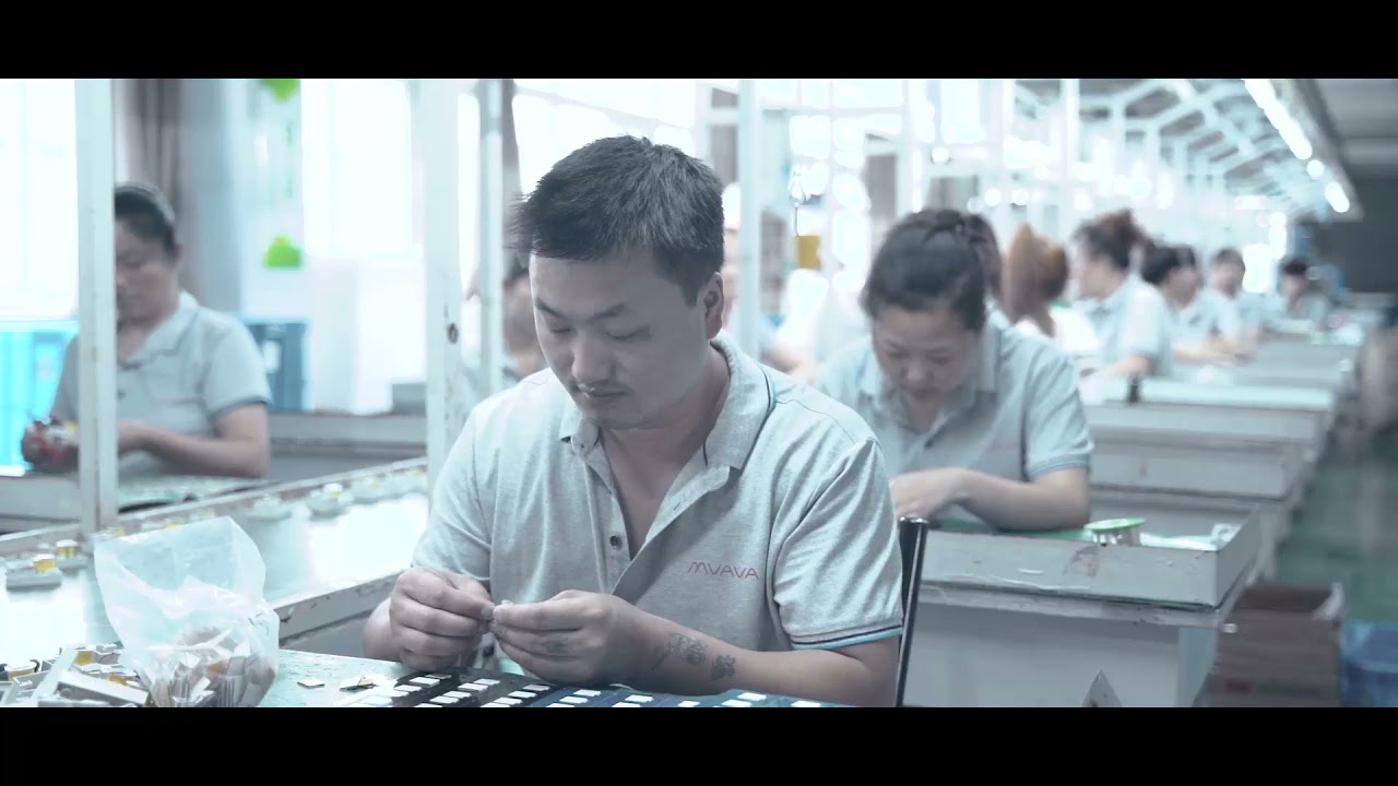 Bseed Brand Introduction Video