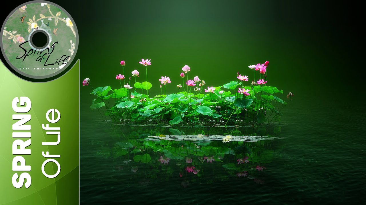 Eric Chiryoku - Lotus Flower || Spring Of Life