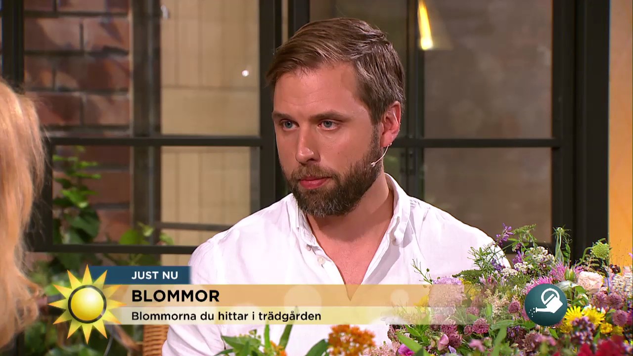 Så binder du en bukett lika fint som floristen  - Nyhetsmorgon (TV4)