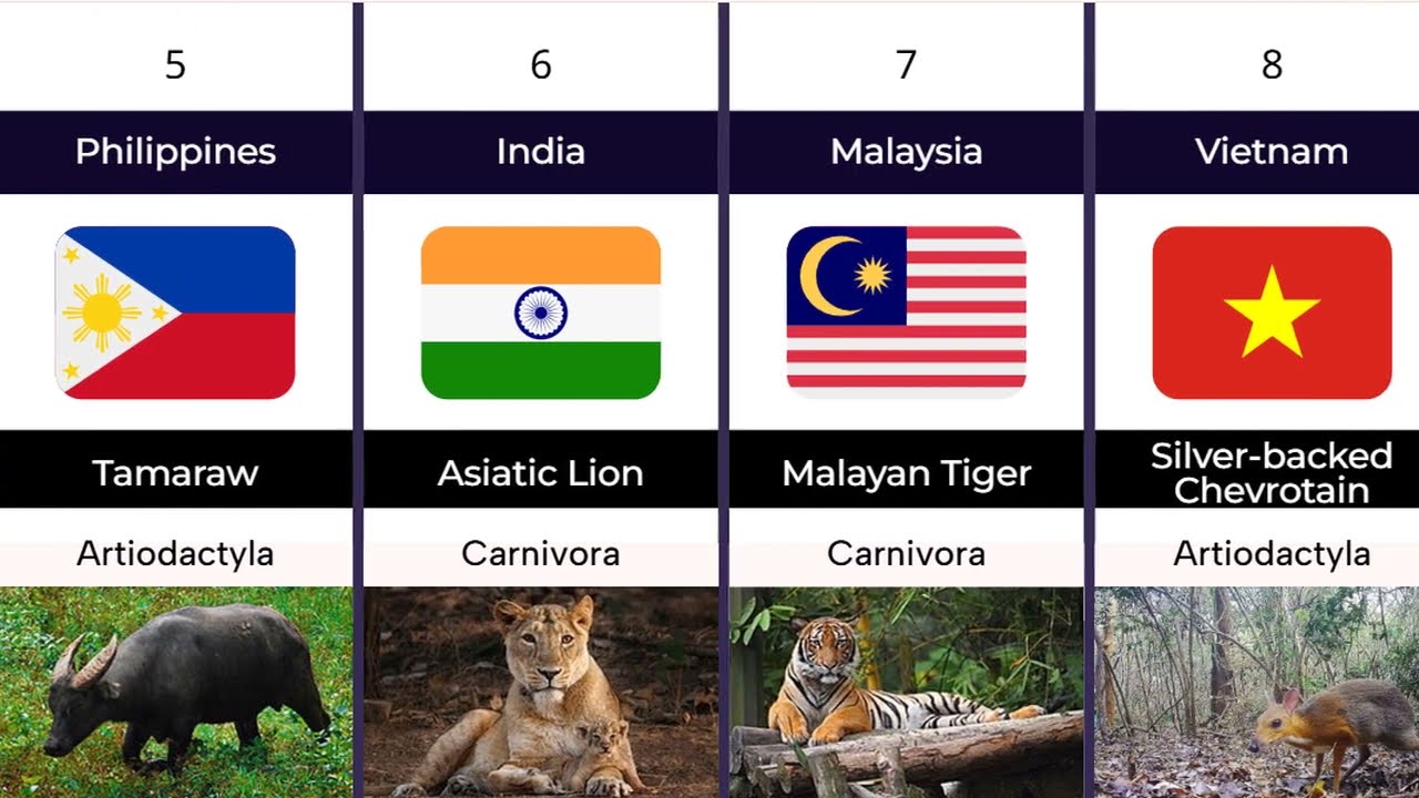 Endemic mammal species to different Asian countries | Chronosphere