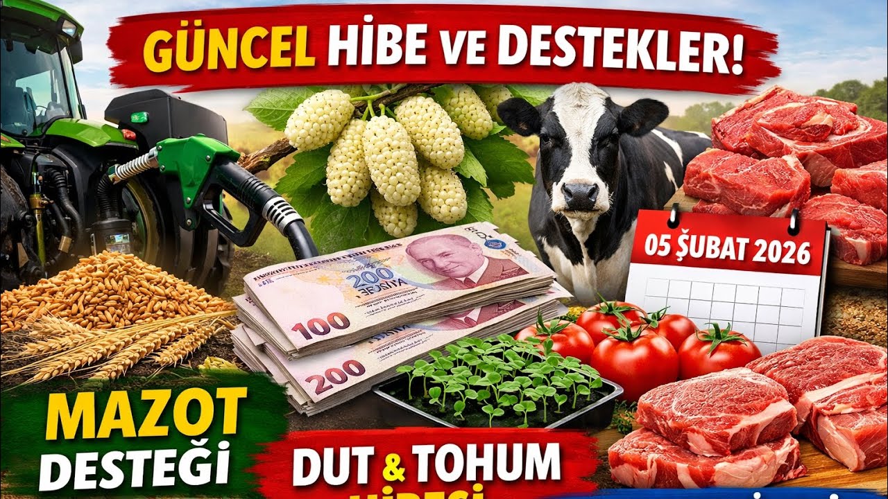 GÜNCEL TARIM DESTEKLERİ! Mazot, Tohum, Fide Hibeleri + 05 Şubat 2026 UKON Et Fiyatları #tarım