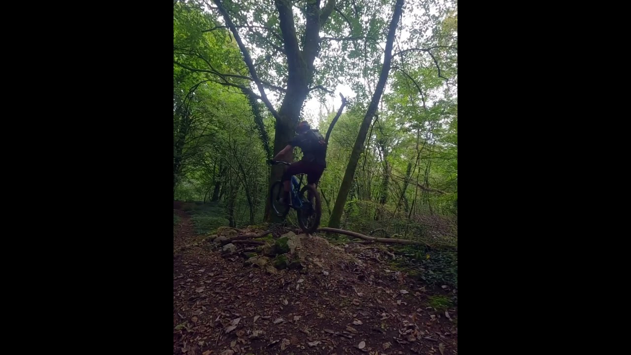 Rosemont jump