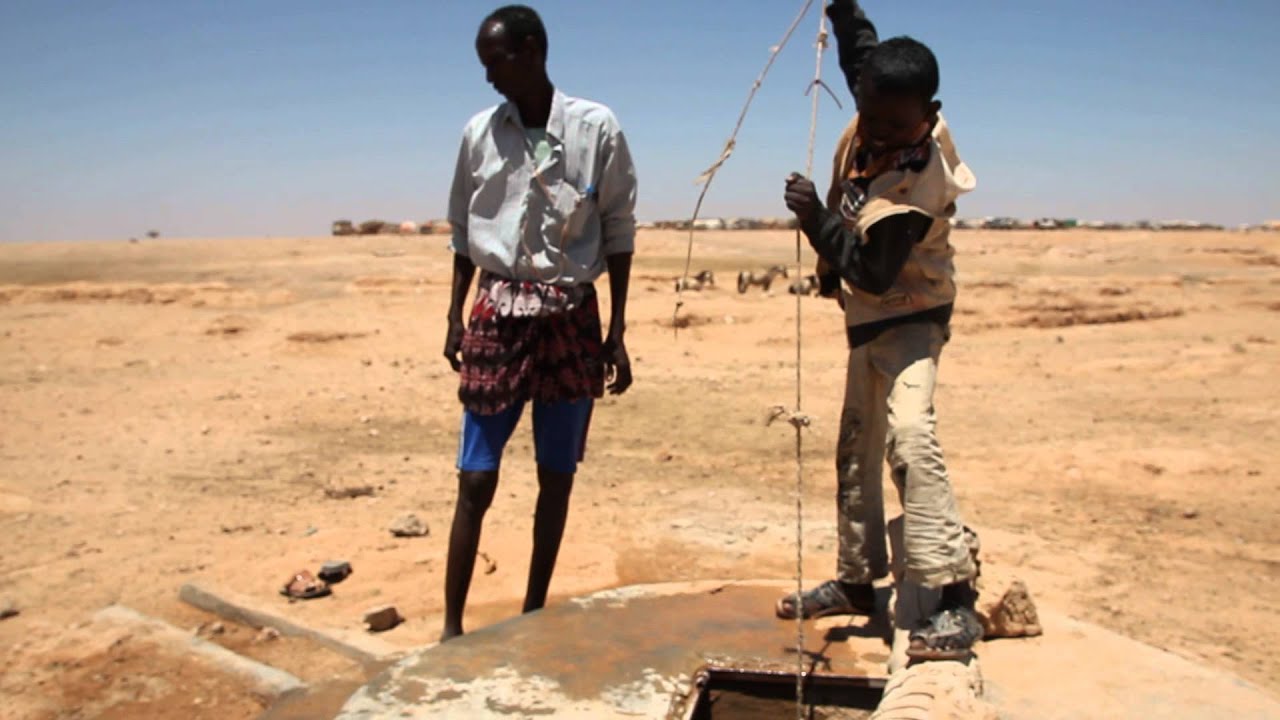 The Camel Watering Song