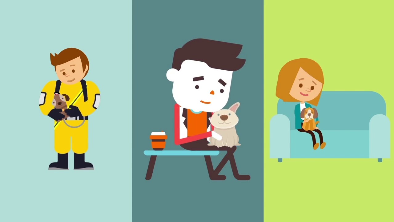 ilustratii / animatii showreel