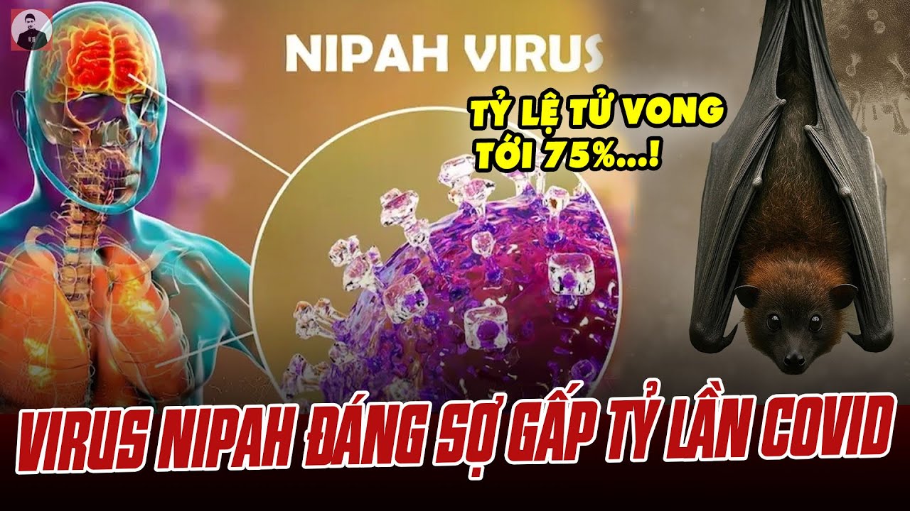 DỊCH BỆNH BÙNG PHÁT Ở ẤN ĐỘ VỚI TỶ LỆ TỬ VONG TỚI 75%: NGUY CƠ CÓ ĐẠI DỊCH ĐÁNG SỢ GẤP TỶ LẦN COVID