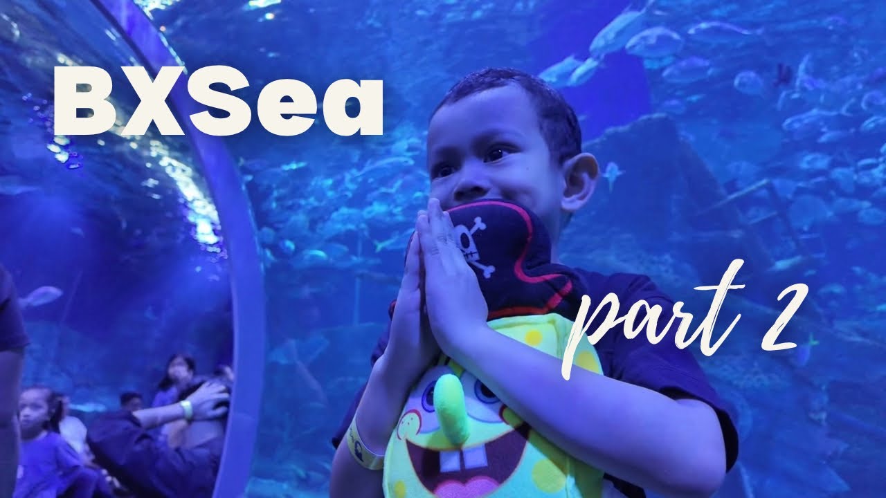 KETEMU BINTURONG, PINGUIN & BINTANG LAUT DI BXSEA !!