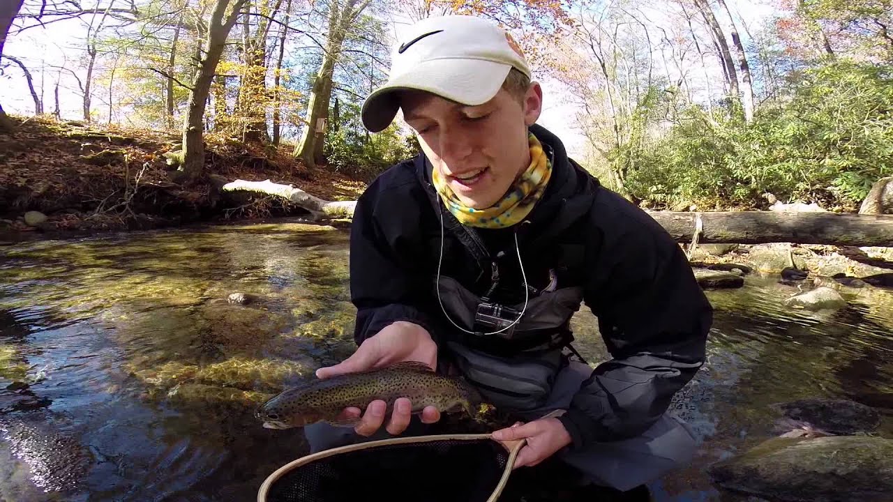Midgin - Fly fishing the Davidson River in North Carolina