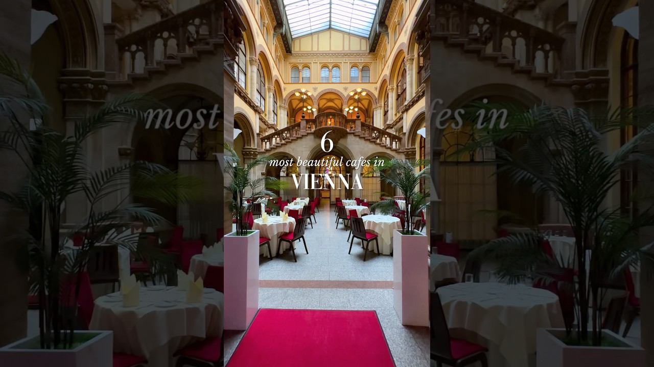 Most beautiful cafes in Vienna, Austria ☕️🇦🇹