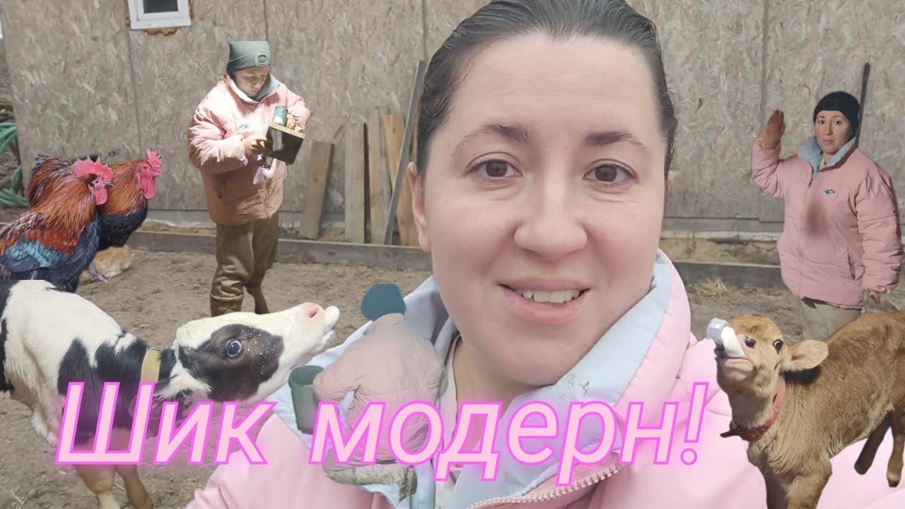 ЖИВЁМ В ДЕРЕВНЕ: сетка над выгулом, я - мастер на все руки, телята
