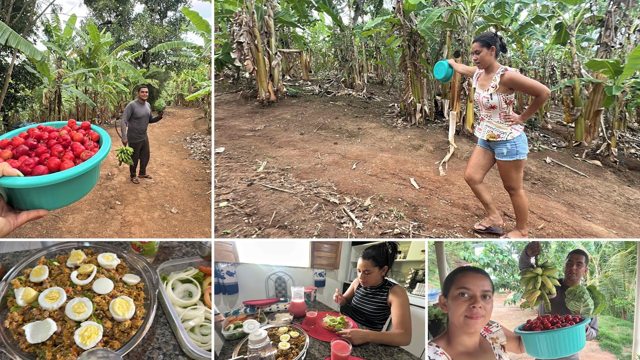 TARDE DE COLHEITAS DE FRUTAS E COUVES😍DIVERSÃO NO MEIO DO SÍTIO🤣NOSSO ALMOÇO DE DOMINGO EM CASA🙏🏼❤️