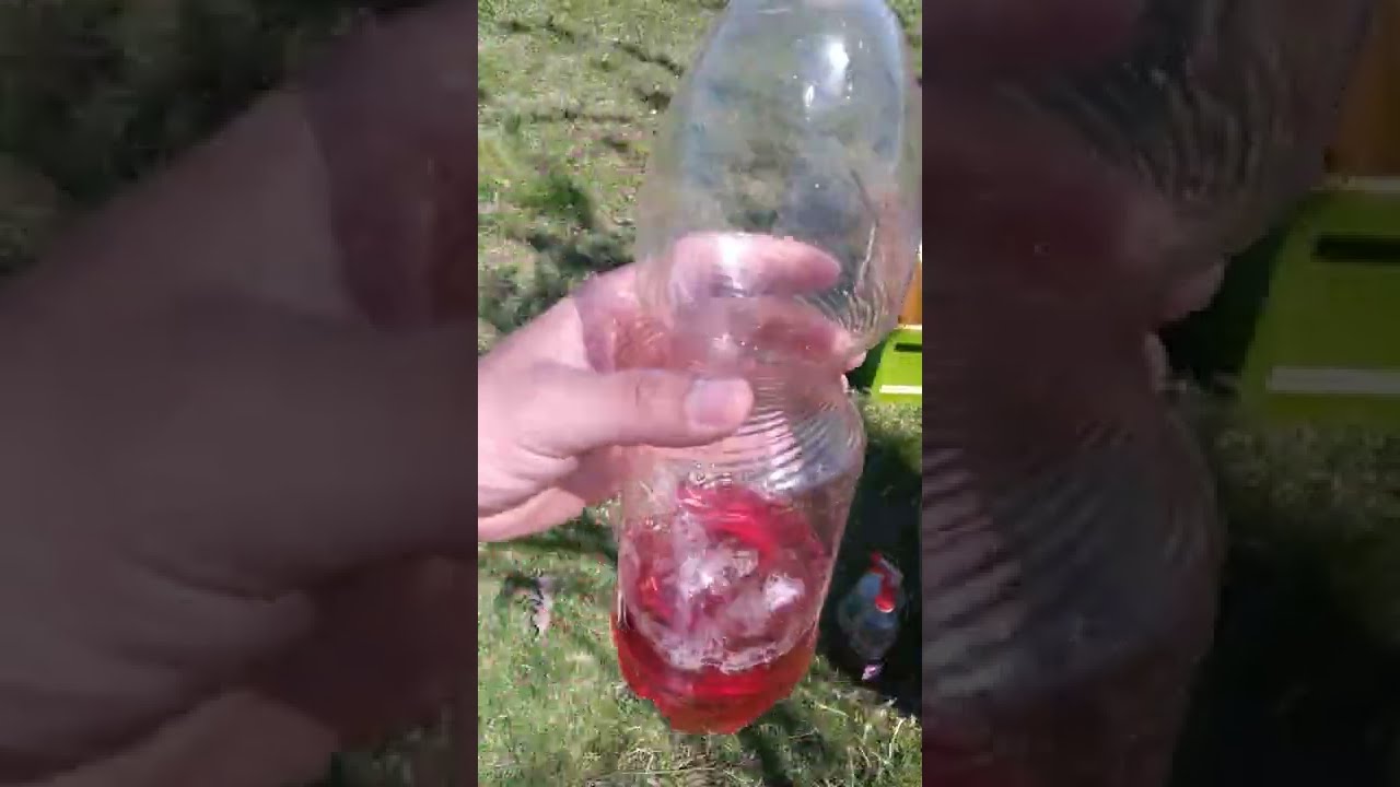 How to do traps for wasps and hornets / Kurth per grerezat