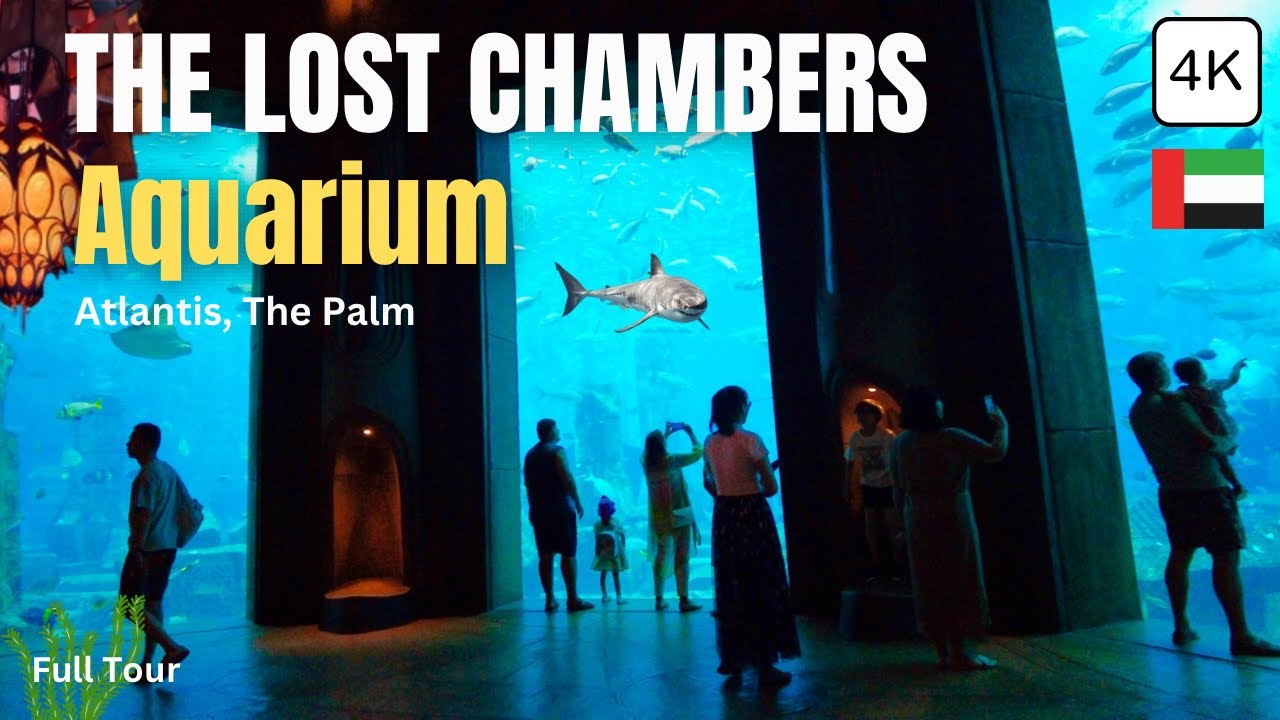 The HIDDEN Wonders of Lost Chambers Aquarium Atlantis Dubai! 4K Tour
