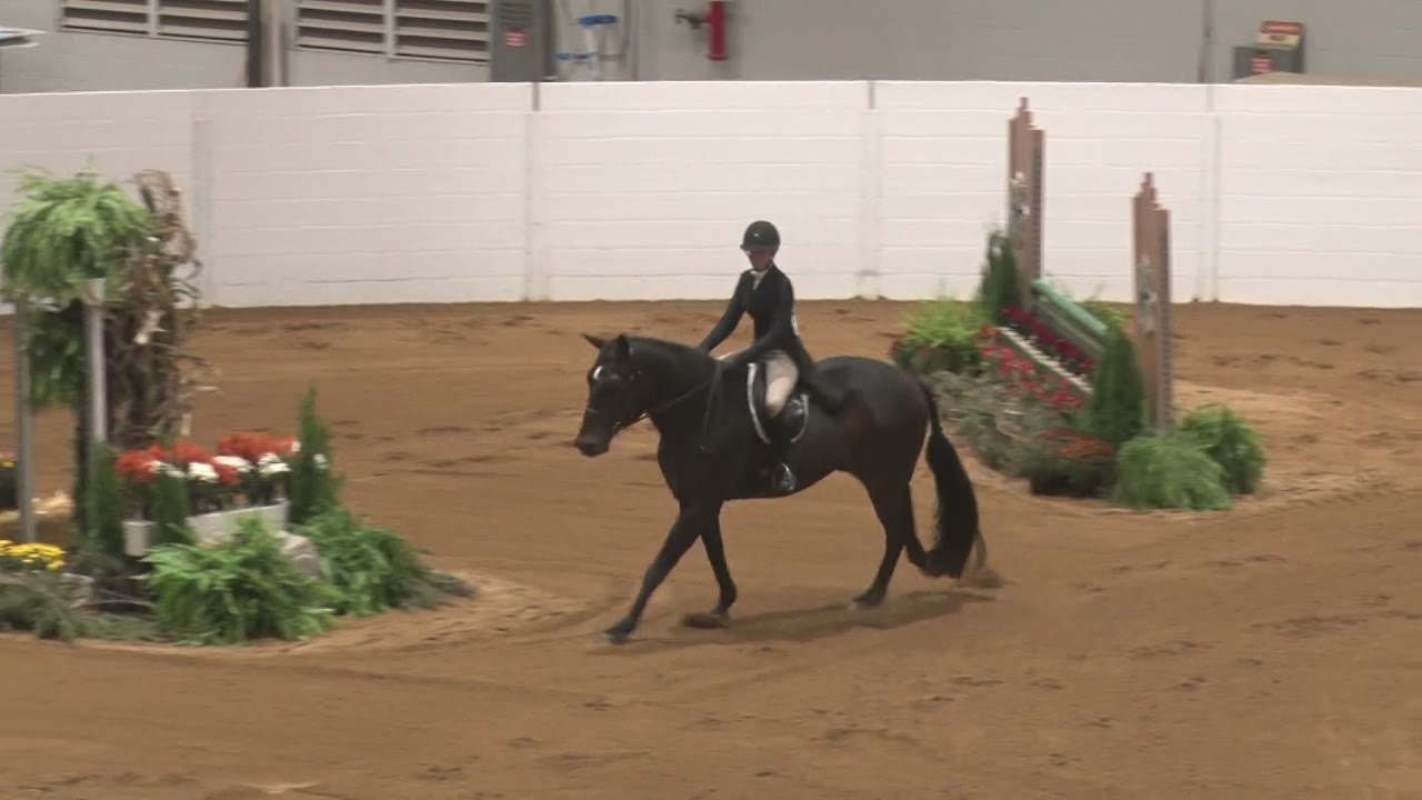 2021 Quarter Horse Congress Non Pro Hunter Classic Awards