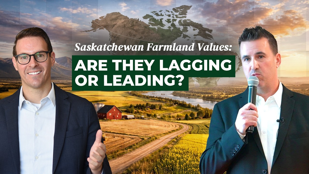 Money Sense - Saskatchewan Farmland Prices vs Other Farmland Hotspots in North America