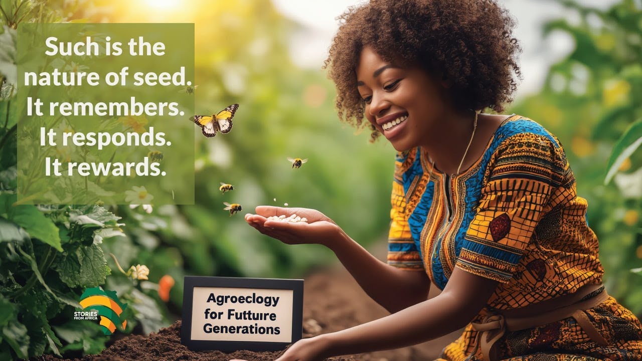 How to Preserve Africa's Indigenous Seeds. Organic Farming and Seed Sharing. #africa #foodsecurity