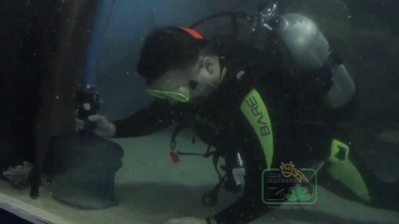 How to become an Aquarist
