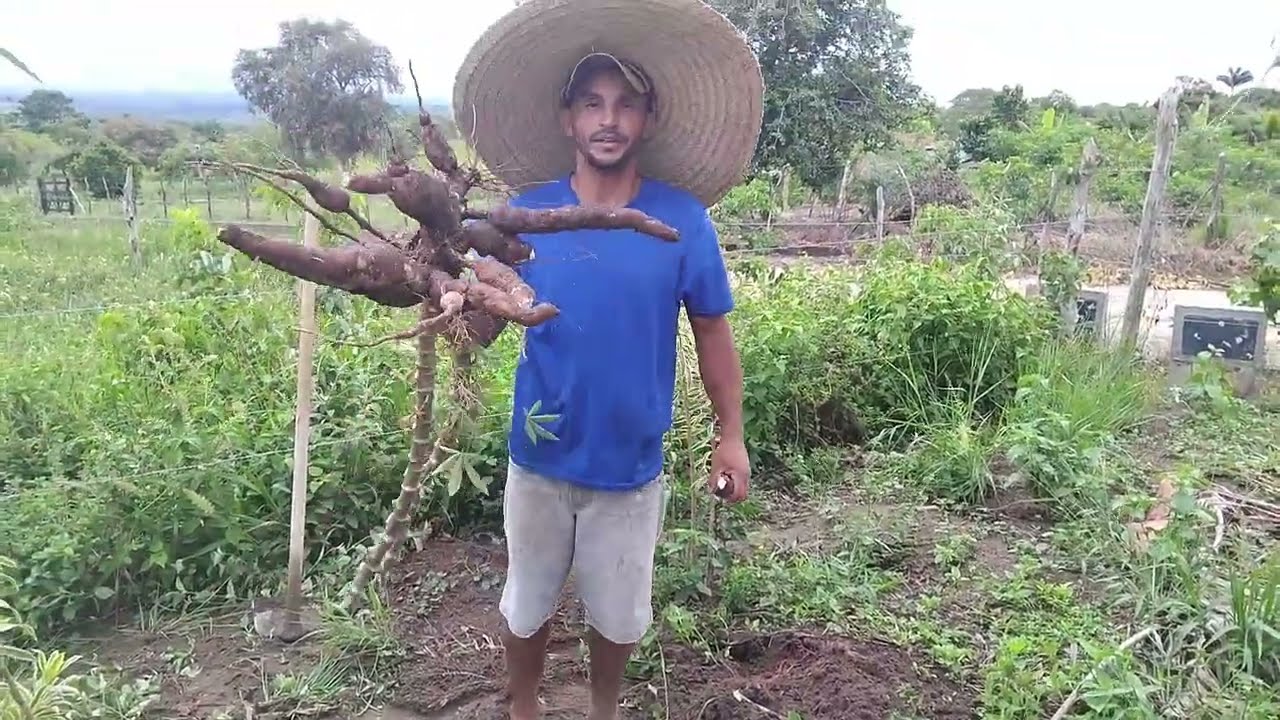 21 de fevereiro de 2026