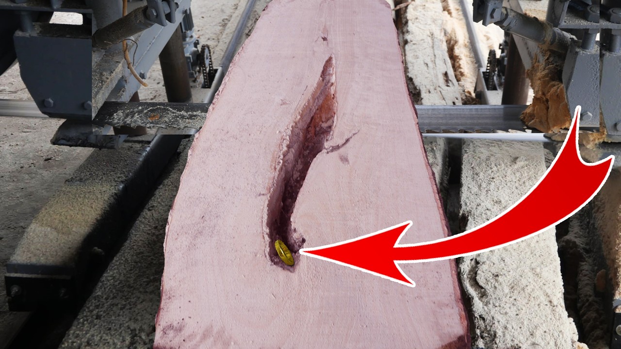 Shocking discovery inside 100 year old strange tree? /Doctor repair restore machine
