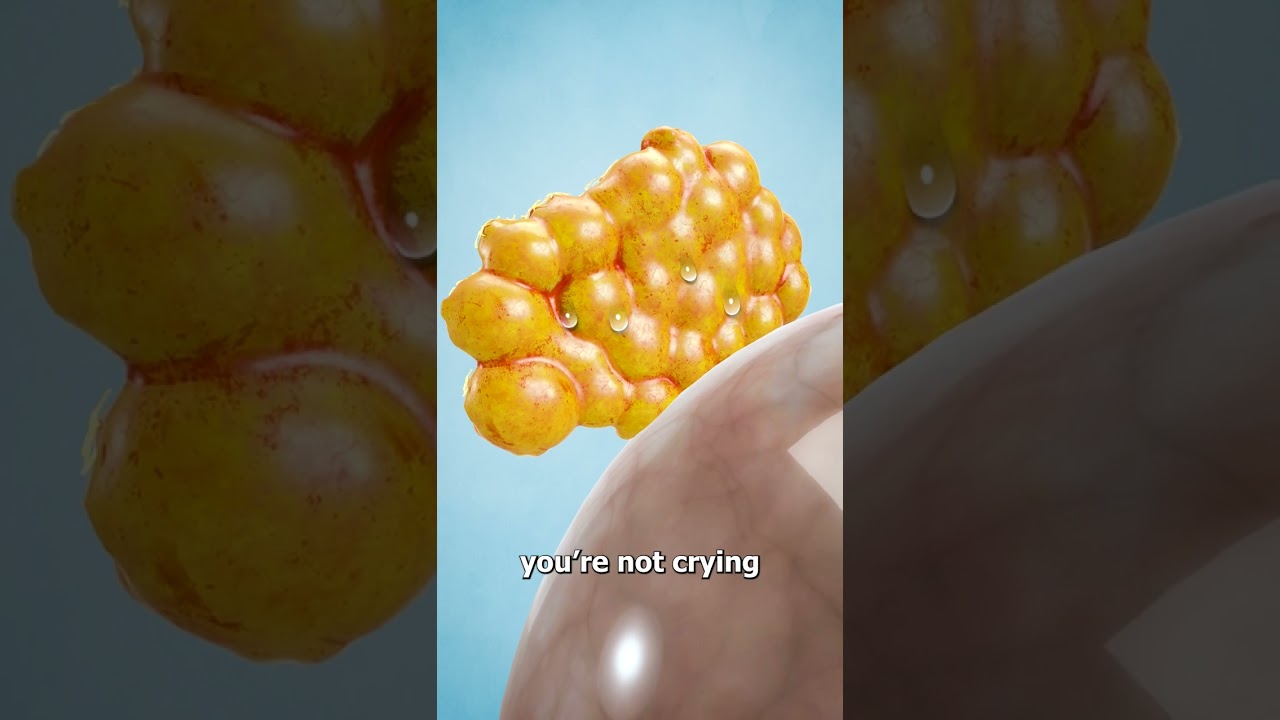 Почему мы плачем 😭