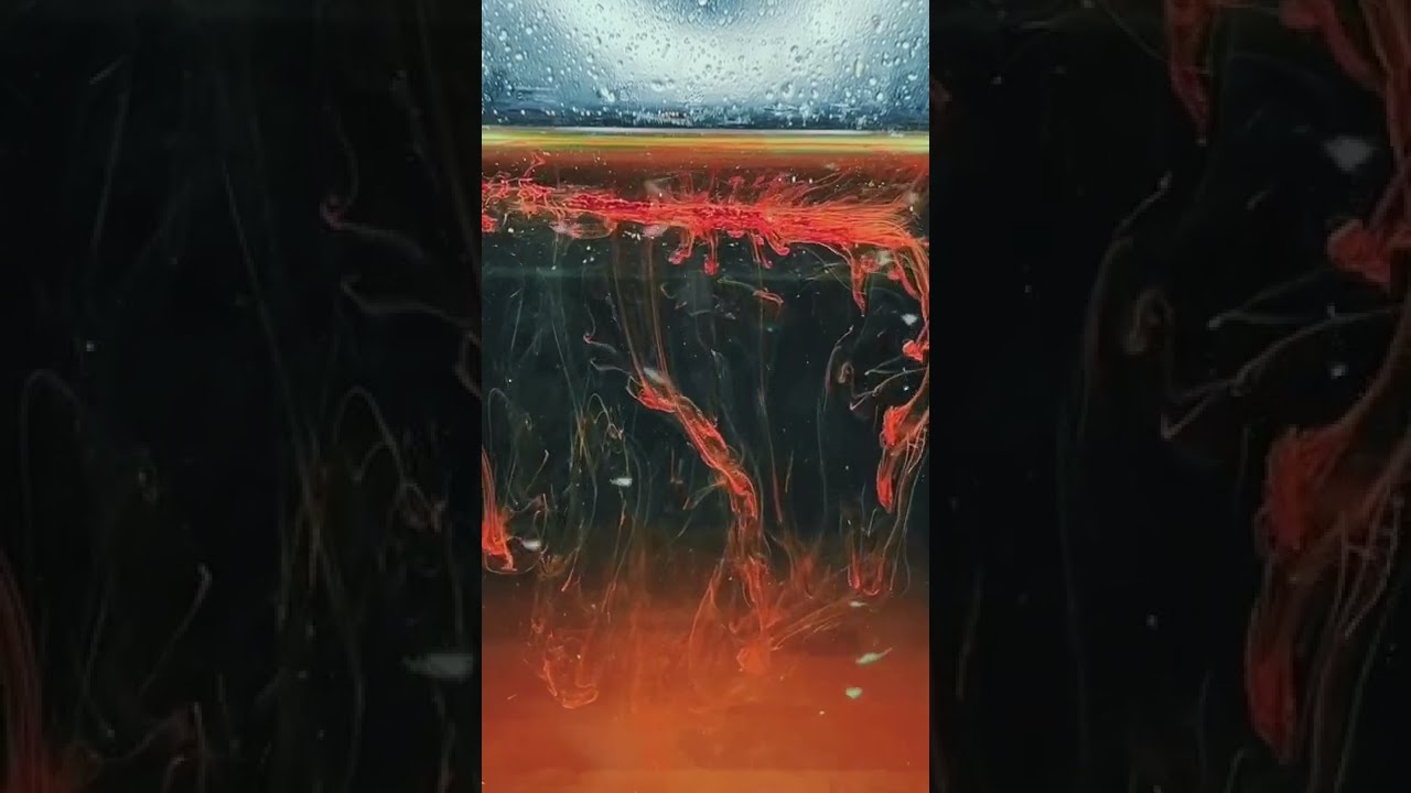 Red Sea Monkeys!