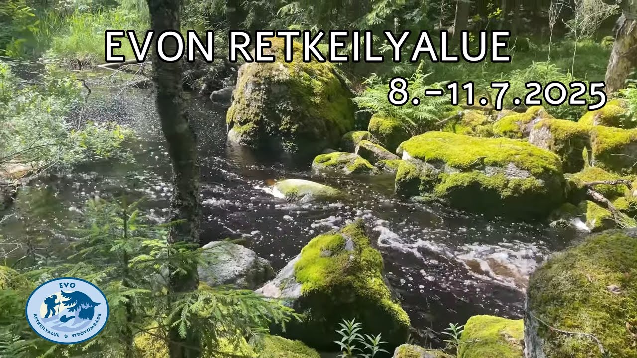 ● Evon retkeilyalueella, Niemisjärviltä Ilvesreittiä pitkin / Suomi, Finland (4K)