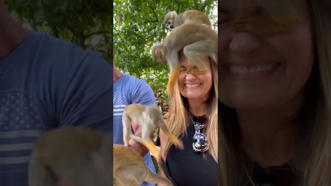 MONKEYLAND - PUNTA CANA - DOMINICAN REPUBLIC