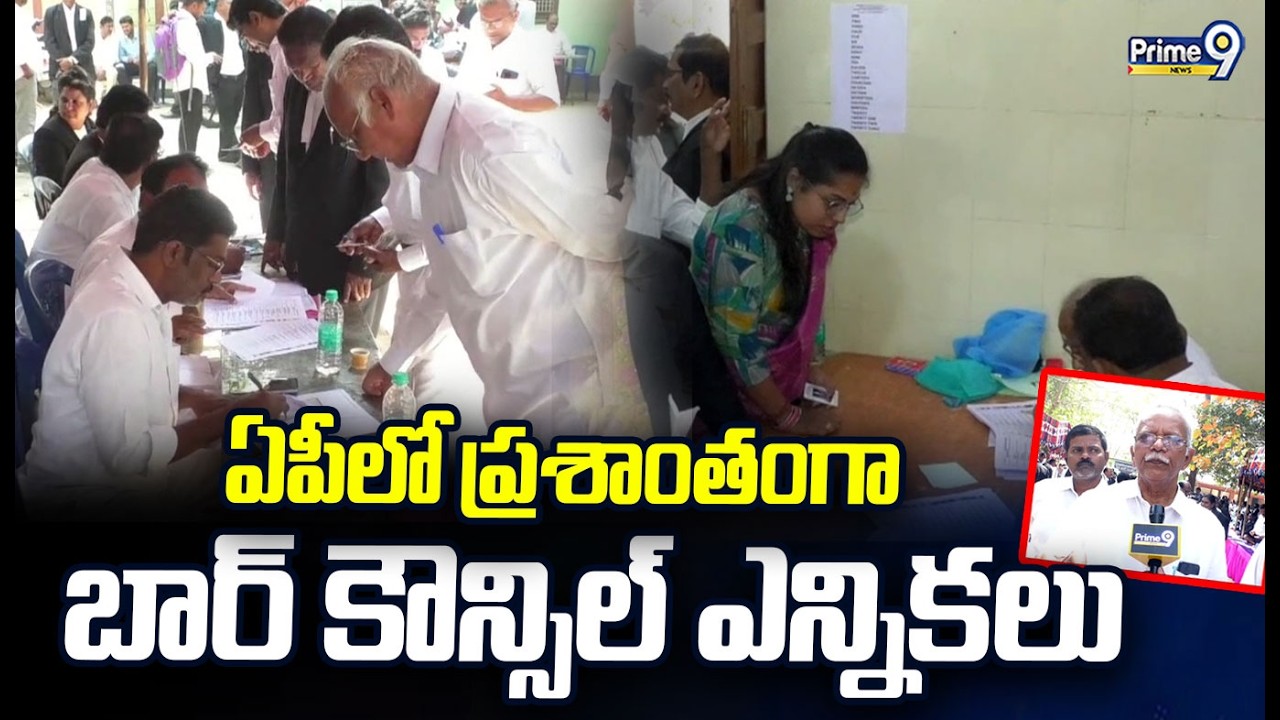 ఏపీలో ప్రశాంతంగా బార్ కౌన్సిల్ ఎన్నికలు |  Bar Council Elections In AP | Prime9 News