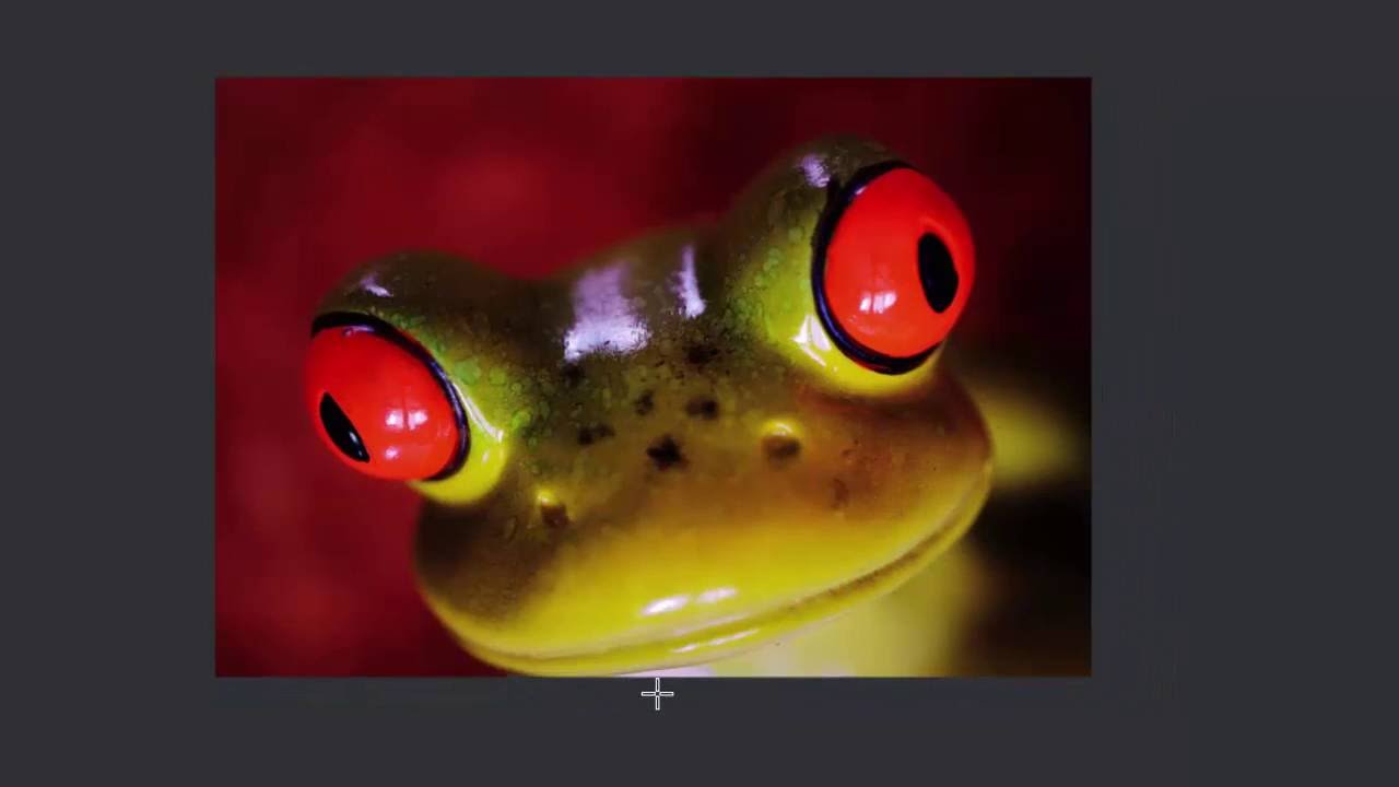 Rotating, resizing and cropping photos with Xara products