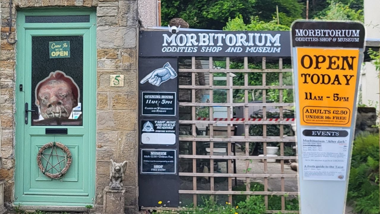 Exploring Morbitorium: South Wales' Curiosities Museum and Shop