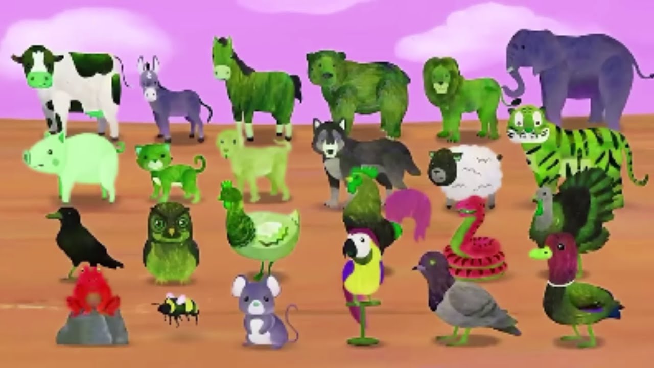 HOORAY HOORAY HOORAY ALL KINDS OF ANIMALS/ SPONSORED BY KLASKYCSUPO2001EFFECTS 