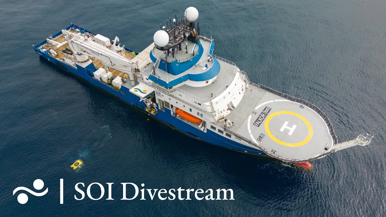 Station 12 | SOI Divestream 899