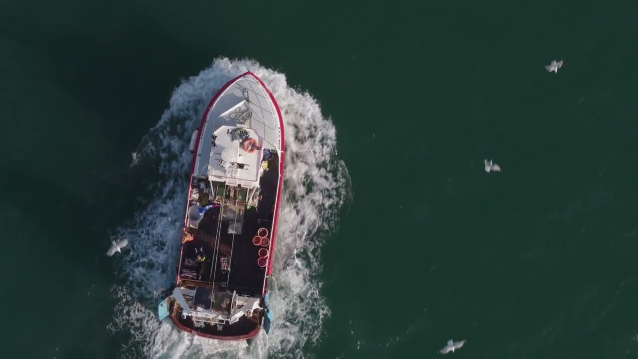 Cleaning Our Oceans with Western Development Corridor - Blue Circular Economy | One Productions