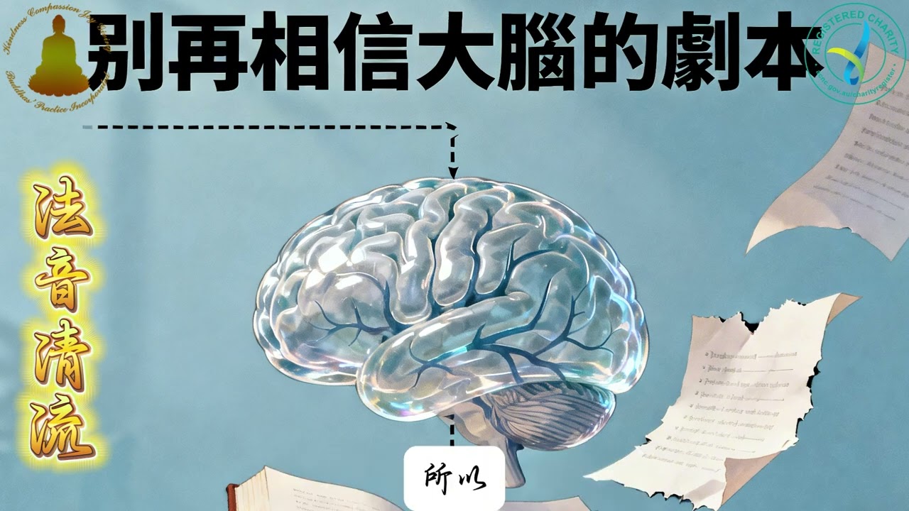 法音清流53——別再相信大腦的劇本