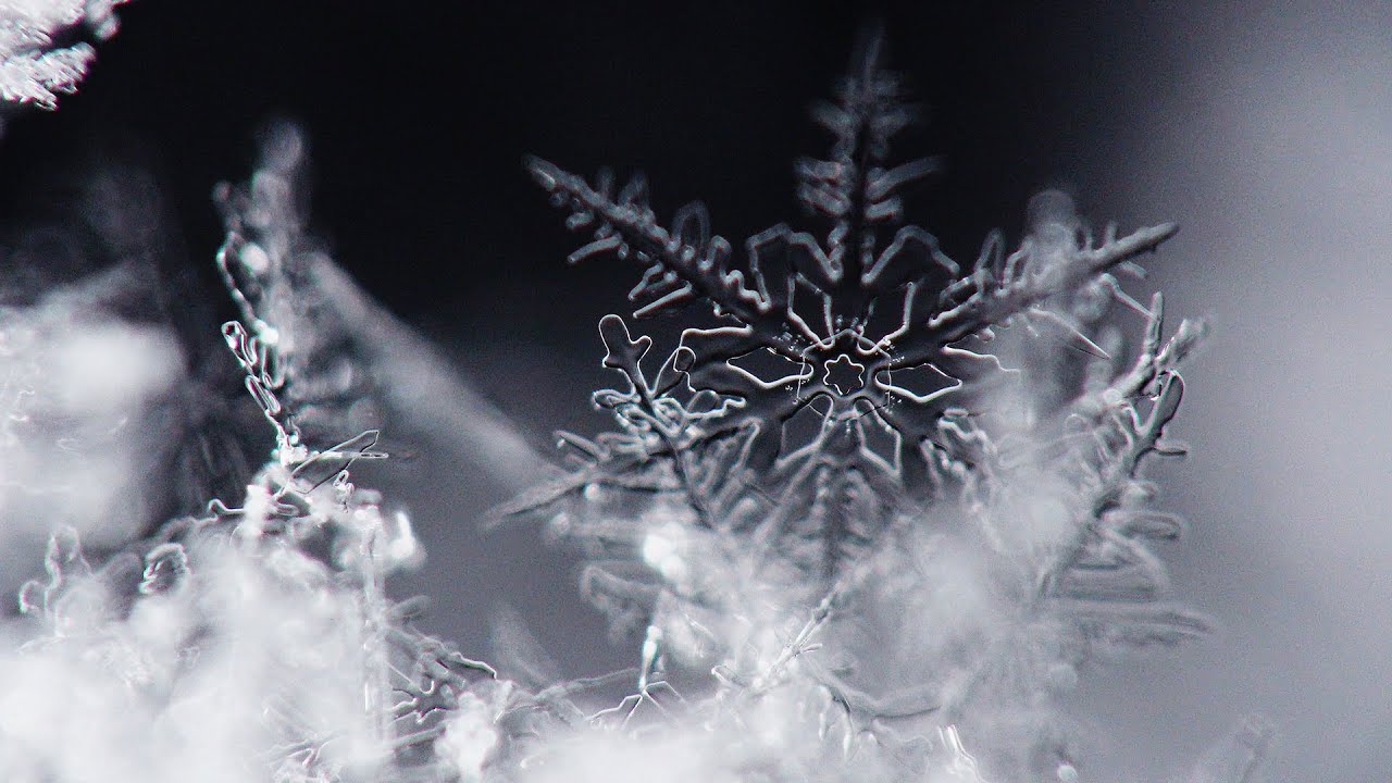 【冬の自然現象】雪の結晶  Crystal of snow  北海道阿寒