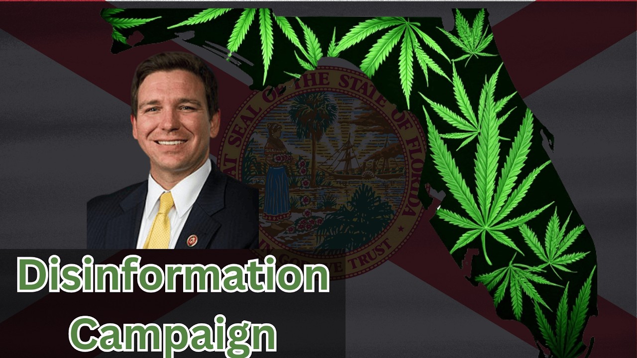 Amendment 3: A Voter's Guide