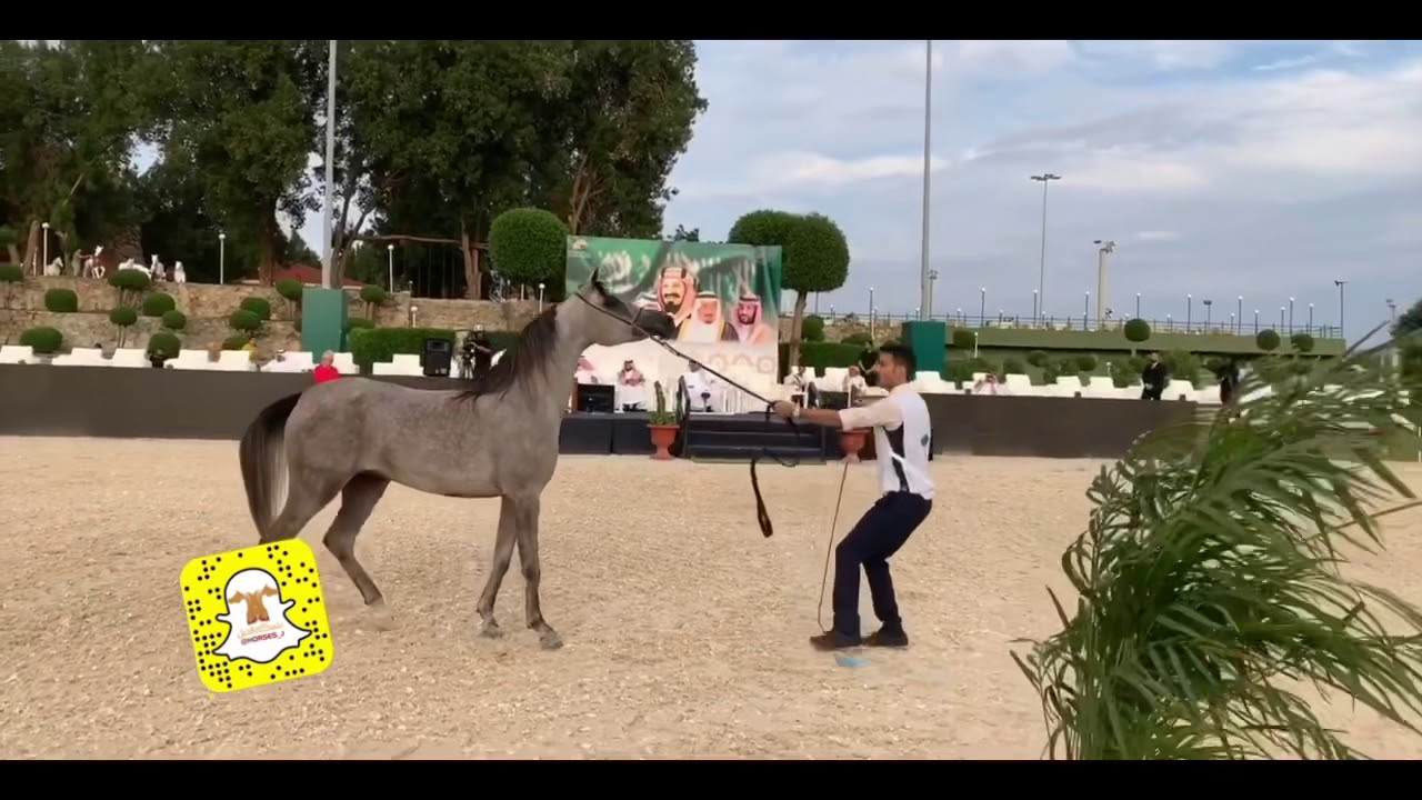 اليوم 1 الجزء1 بطولة ‎مكة المكرمة الدولية ( الصواري 9 )