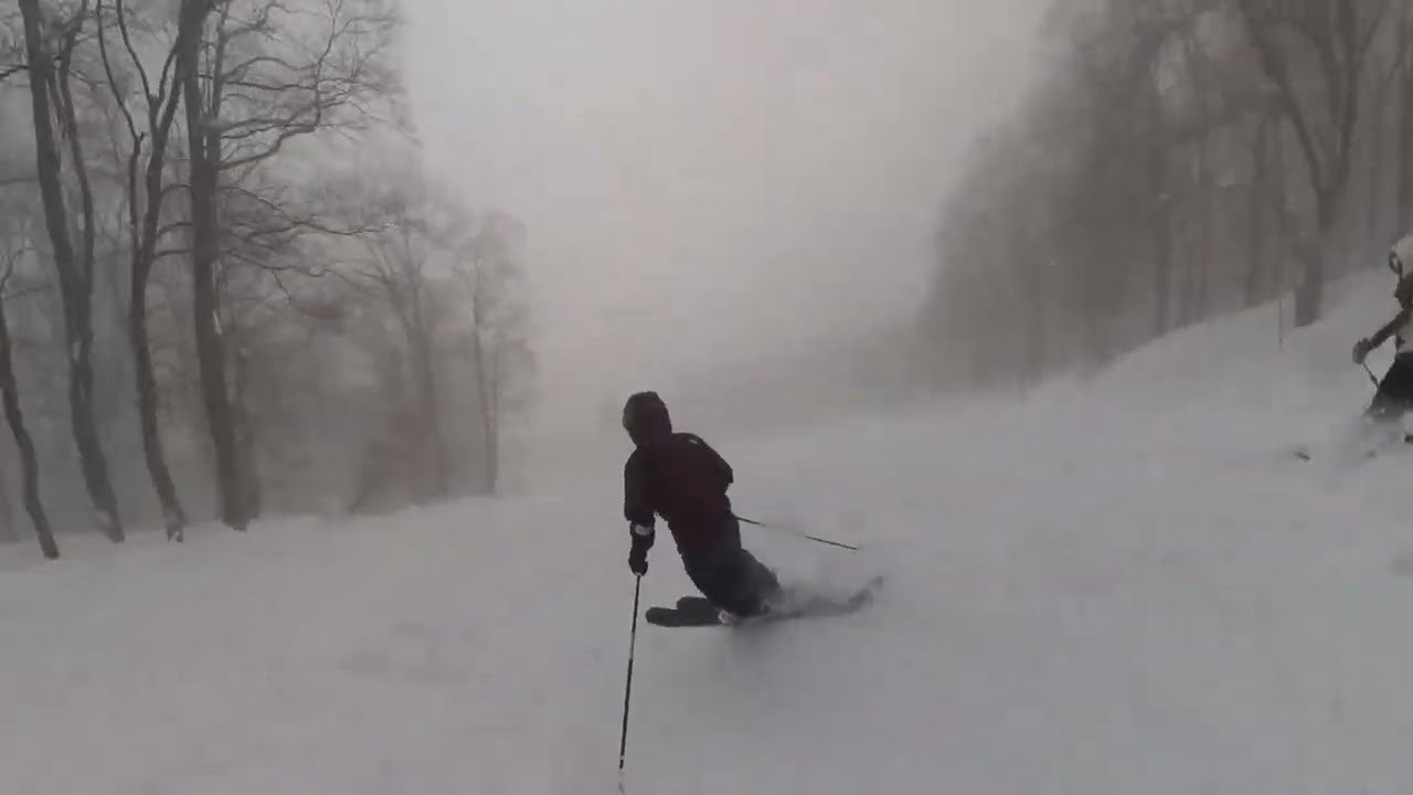 No　Skiing　No　Life