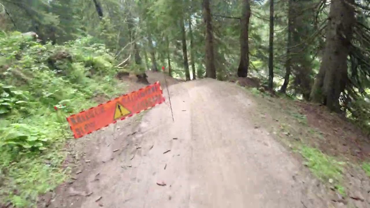 Fluid  // Blue trail // Chatel bikepark // 2025