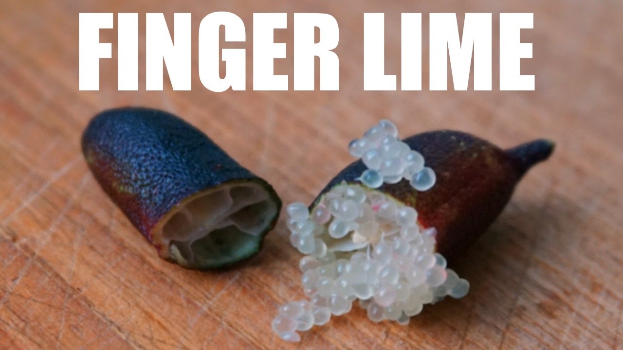 Australian FINGER LIME Taste Test | Fruity Fruits