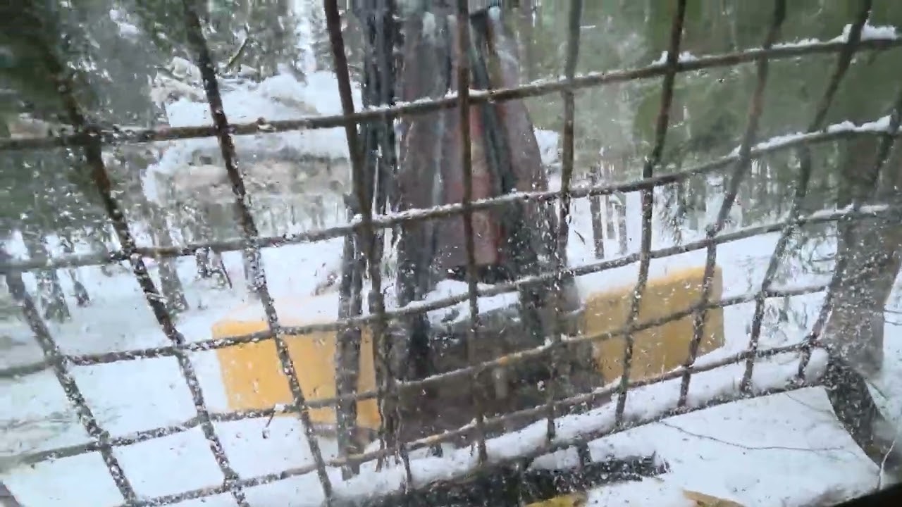 Skotning med Volvo BM SM 665 Timmerkalle 