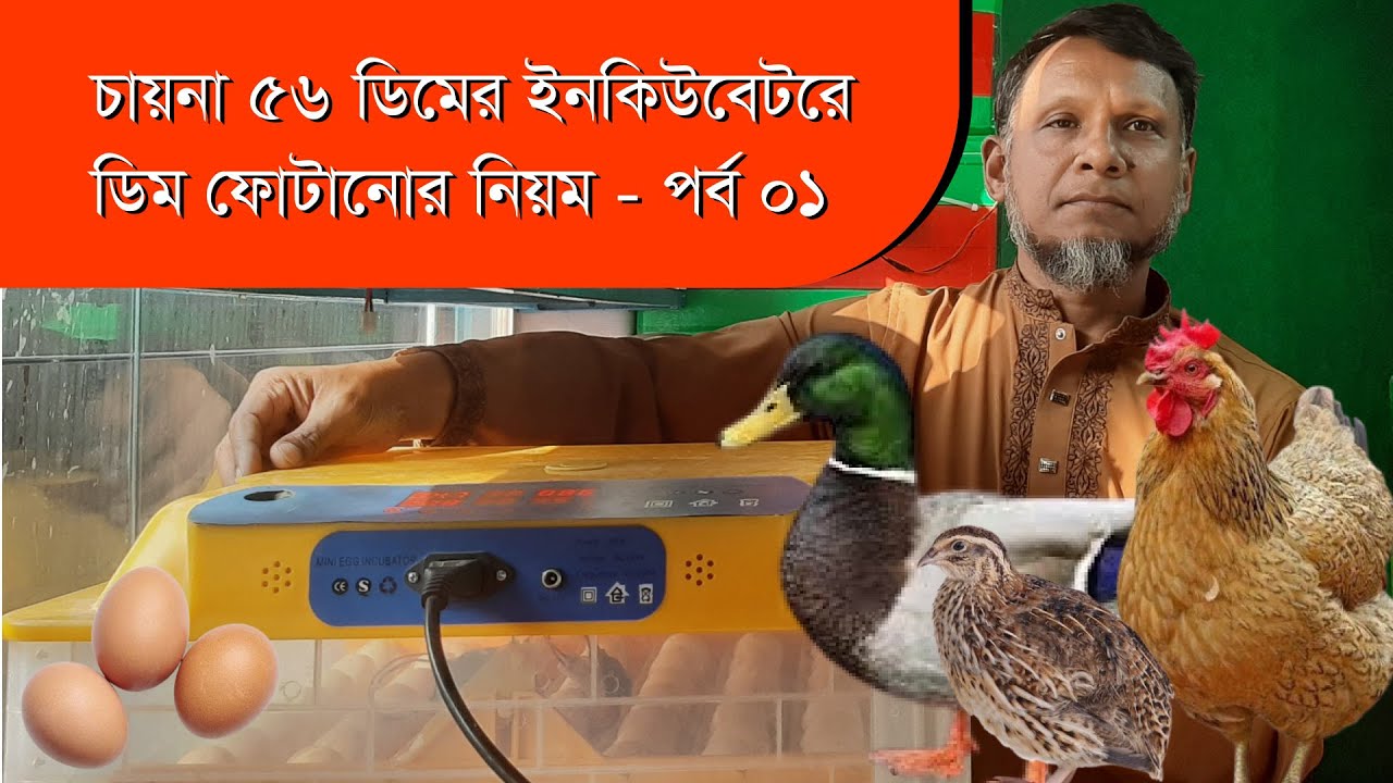 🔥 কিভাবে চায়না ৬৫ডিমের ইনকিউবেটরে ডিম ফোটাতে হয় পর্ব ০১| G Shop BD 🚀