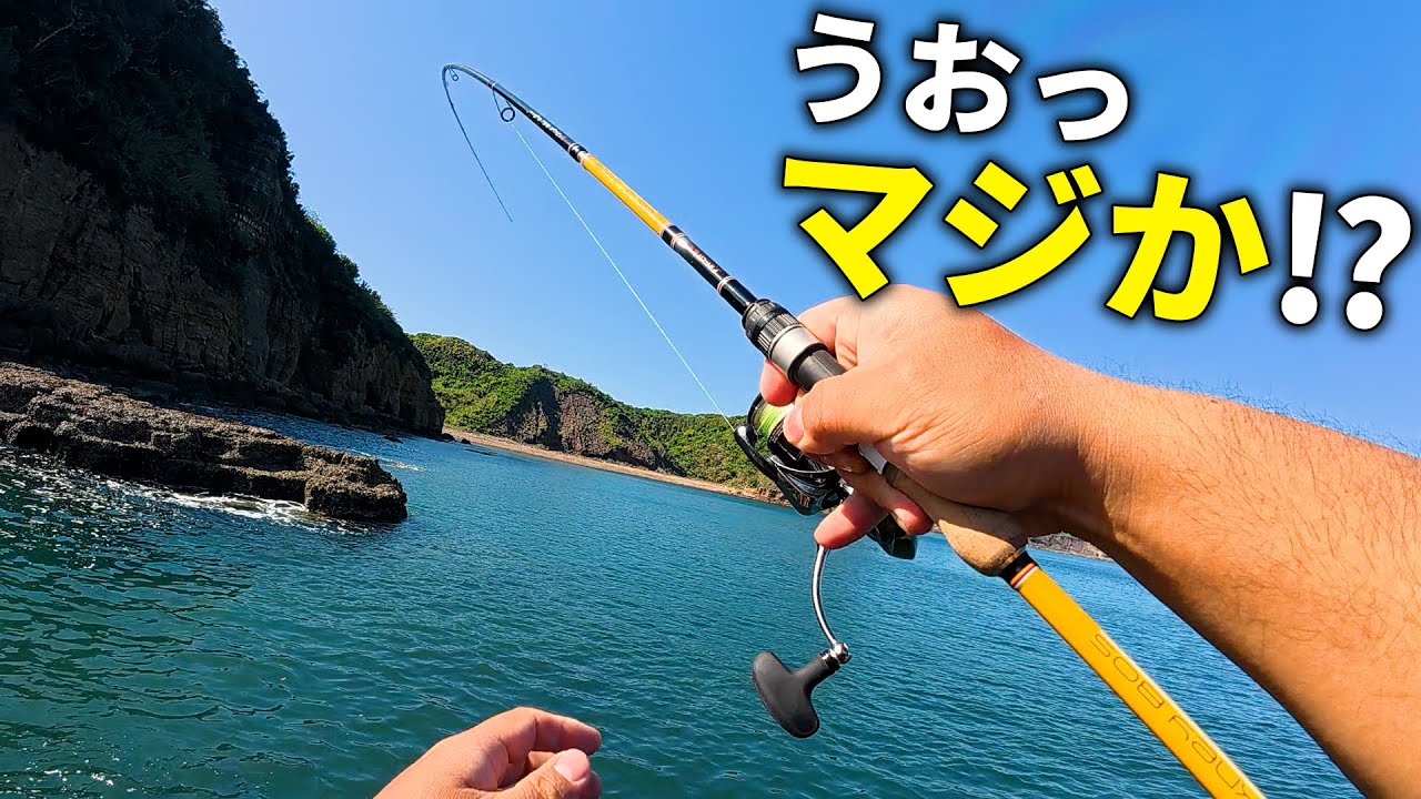 突然鳴り響くドラグ！磯を歩きまくり根気のエギングで手にした、めちゃめちゃ嬉しすぎる春イカ。