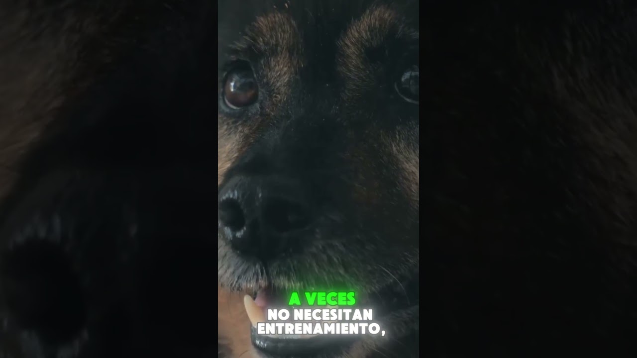 Tema incómodo, pero real.