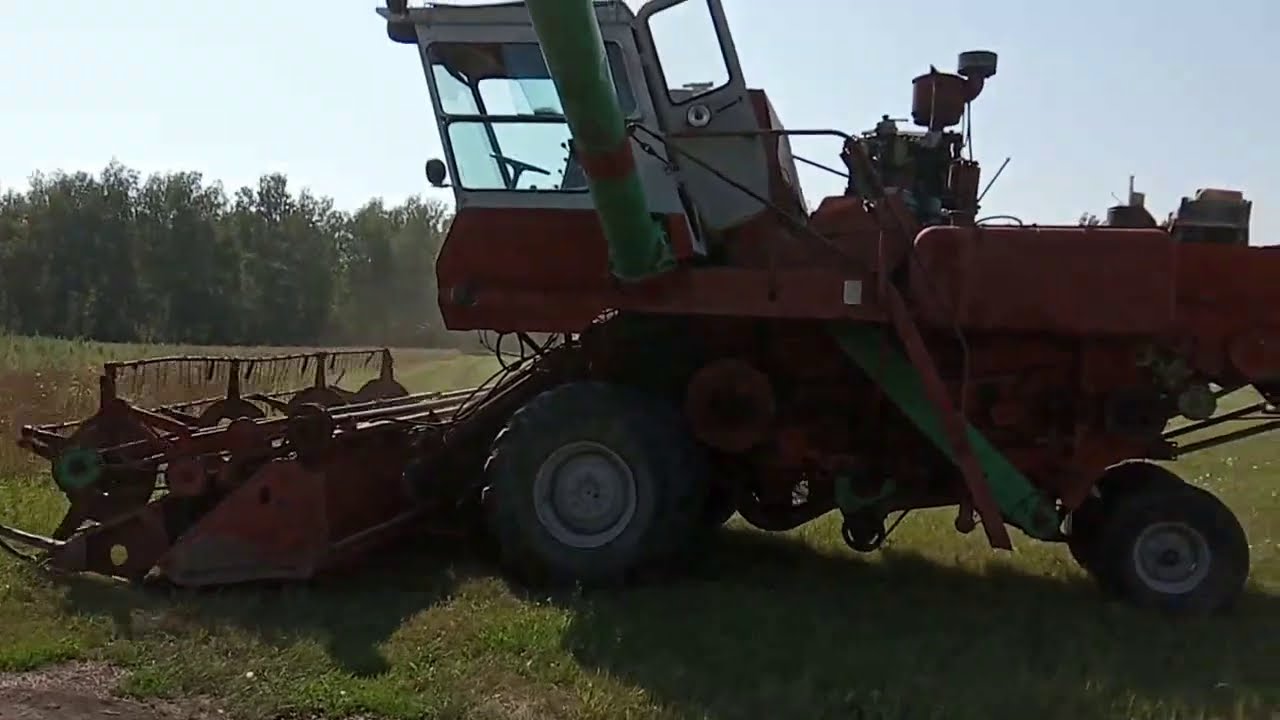 №37 Озимая пшеница. Первые дни уборки: СК-5М 