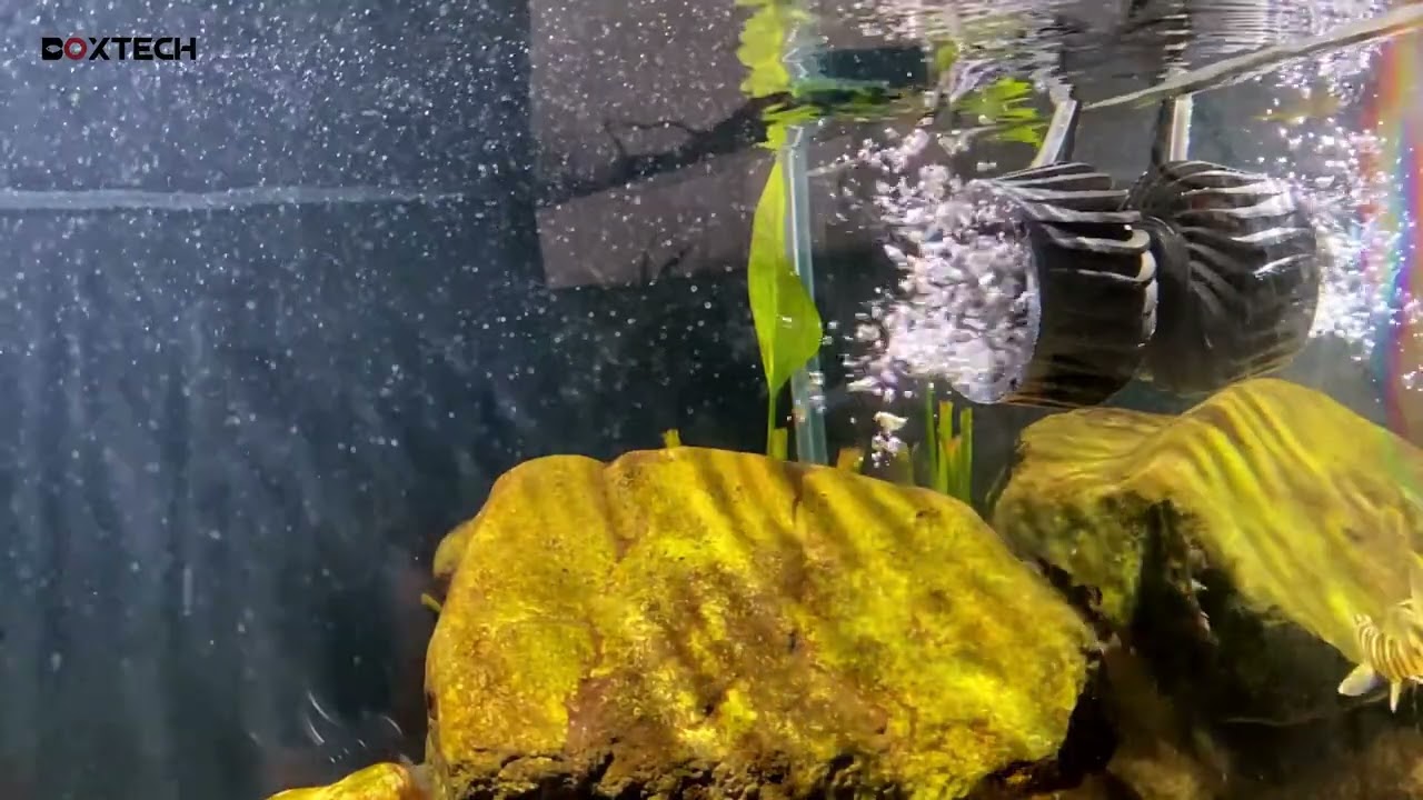 2100 GPH Wave Maker for Aquarium, DC 24V Fish Tank，Circulation Water Pump Wavemaker with Controller