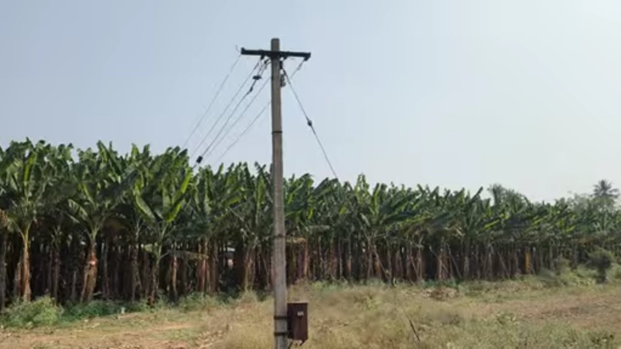 ஈரோடு (மா) கோபி (வ) நம்பியூர் அருகில் 3.30 ஏக்கர் தோட்டம் விற்பனை 9585376767#realeastate 