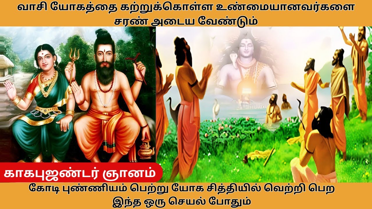 காகபுஜண்டர் இந்த ஒரு தொண்டு செய்தால் கோடி புண்ணியம்|kagapujandar Siddhar @Aanmeegapokkisham IN Tamil