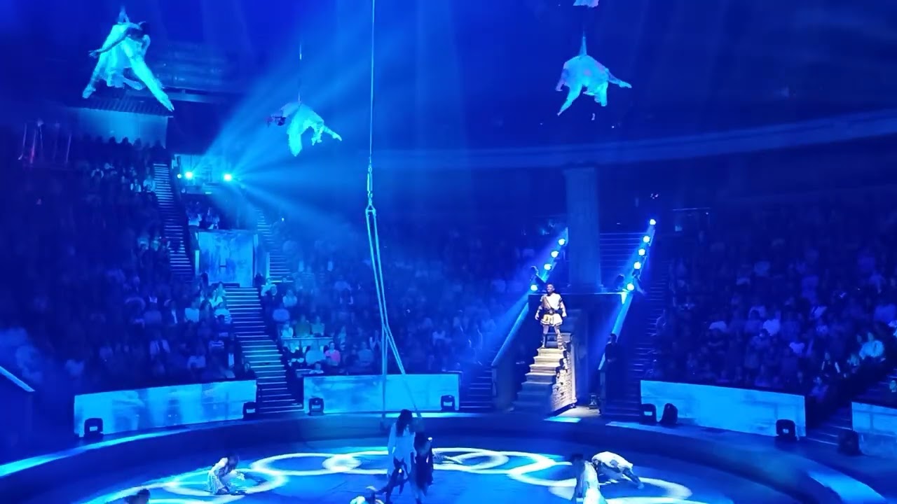 Шоу 